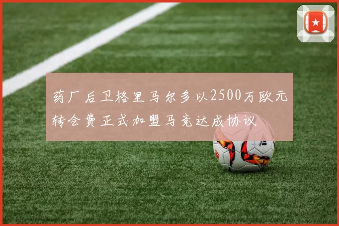 药厂后卫格里马尔多以2500万欧元转会费正式加盟马竞达成协议