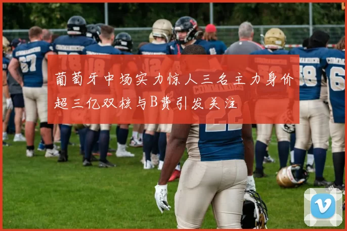葡萄牙中场实力惊人三名主力身价超三亿双核与B费引发关注