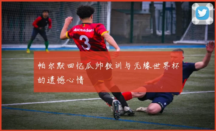 帕尔默回忆瓜帅教训与无缘世界杯的遗憾心情
