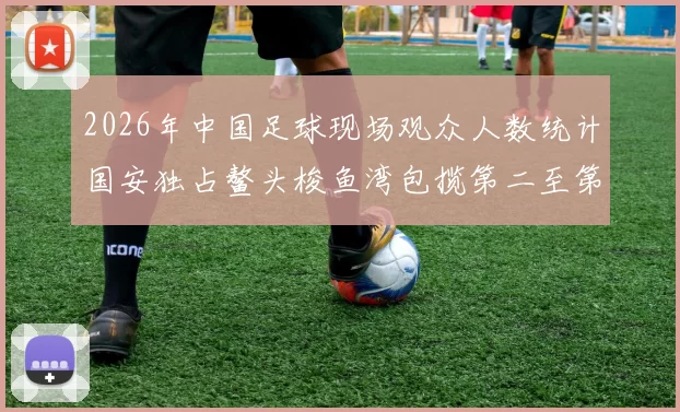 2026年中国足球现场观众人数统计国安独占鳌头梭鱼湾包揽第二至第七位