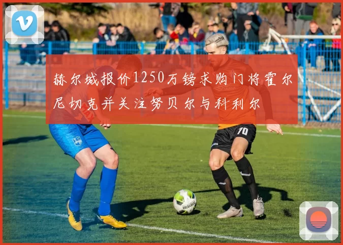 赫尔城报价1250万镑求购门将霍尔尼切克并关注努贝尔与科利尔