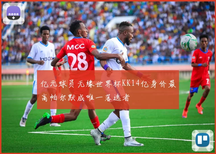 亿元球员无缘世界杯KK14亿身价最高帕尔默成唯一落选者